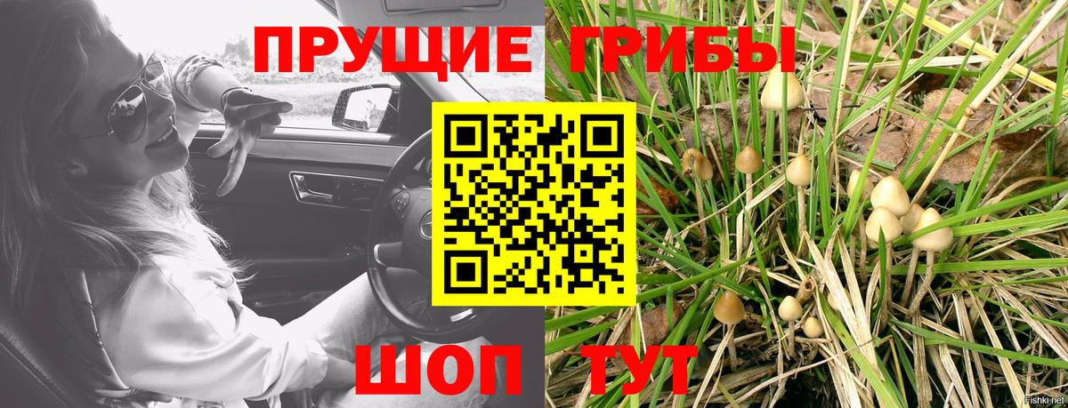 Псилоцибиновые грибы мухоморы Кизляр