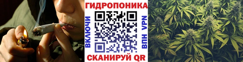 ОМГ ОМГ маркетплейс  Кизляр  Канабис THC 21%  купить закладку 